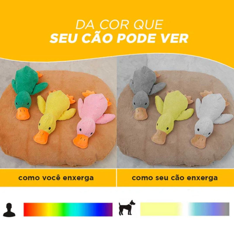 Pelúcia Pato Amigo - A melhor companhia para o seu Pet