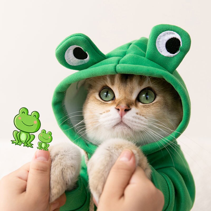 Moletom Amazing Frog